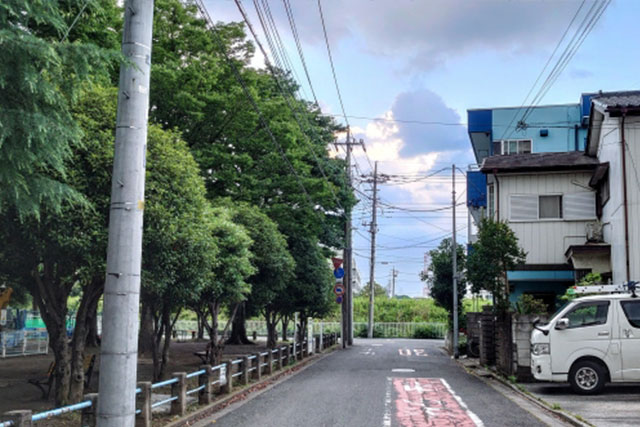 その枝が電線に引っ掛かりそう その枝が建物に落ちそう高所伐採・特殊伐採・特殊造園